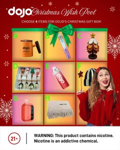 DOJO – Christmas Gift Box Wishlist Giveaway & Win a Box✨